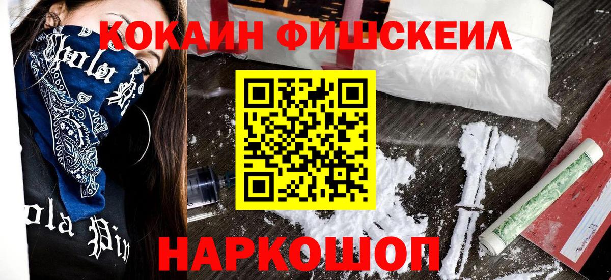 Cocaine  COCAIN Fish Scale  Вход с VPN  Бердск 