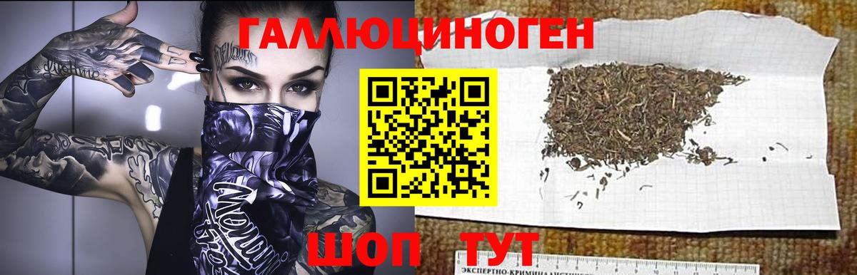 Бердск  Галлюциногенные грибы MAGIC MUSHROOMS  Вход с VPN 
